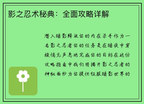 影之忍术秘典：全面攻略详解